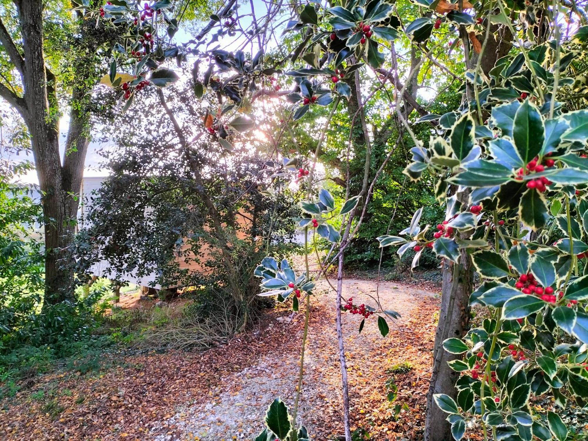 Demeure De La Garenne Bed & Breakfast Montmirail  Exterior photo