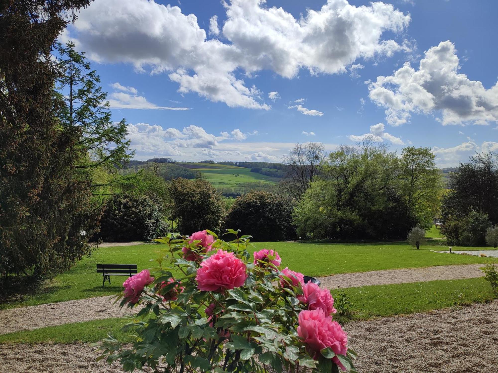 Demeure De La Garenne Bed & Breakfast Montmirail  Exterior photo