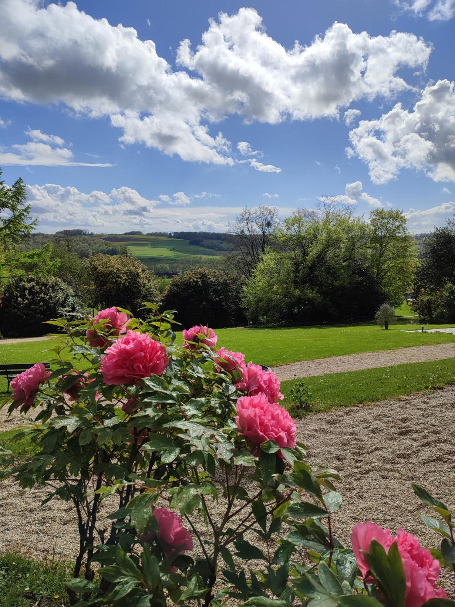 Demeure De La Garenne Bed & Breakfast Montmirail  Exterior photo